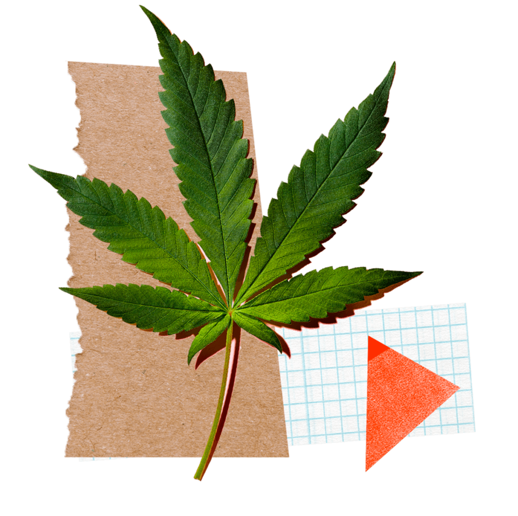 category-cannabis