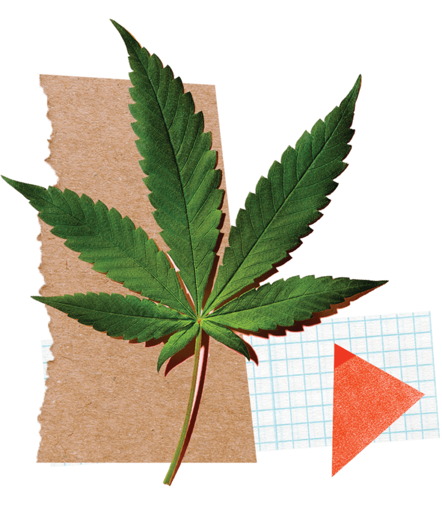 category-cannabis-features