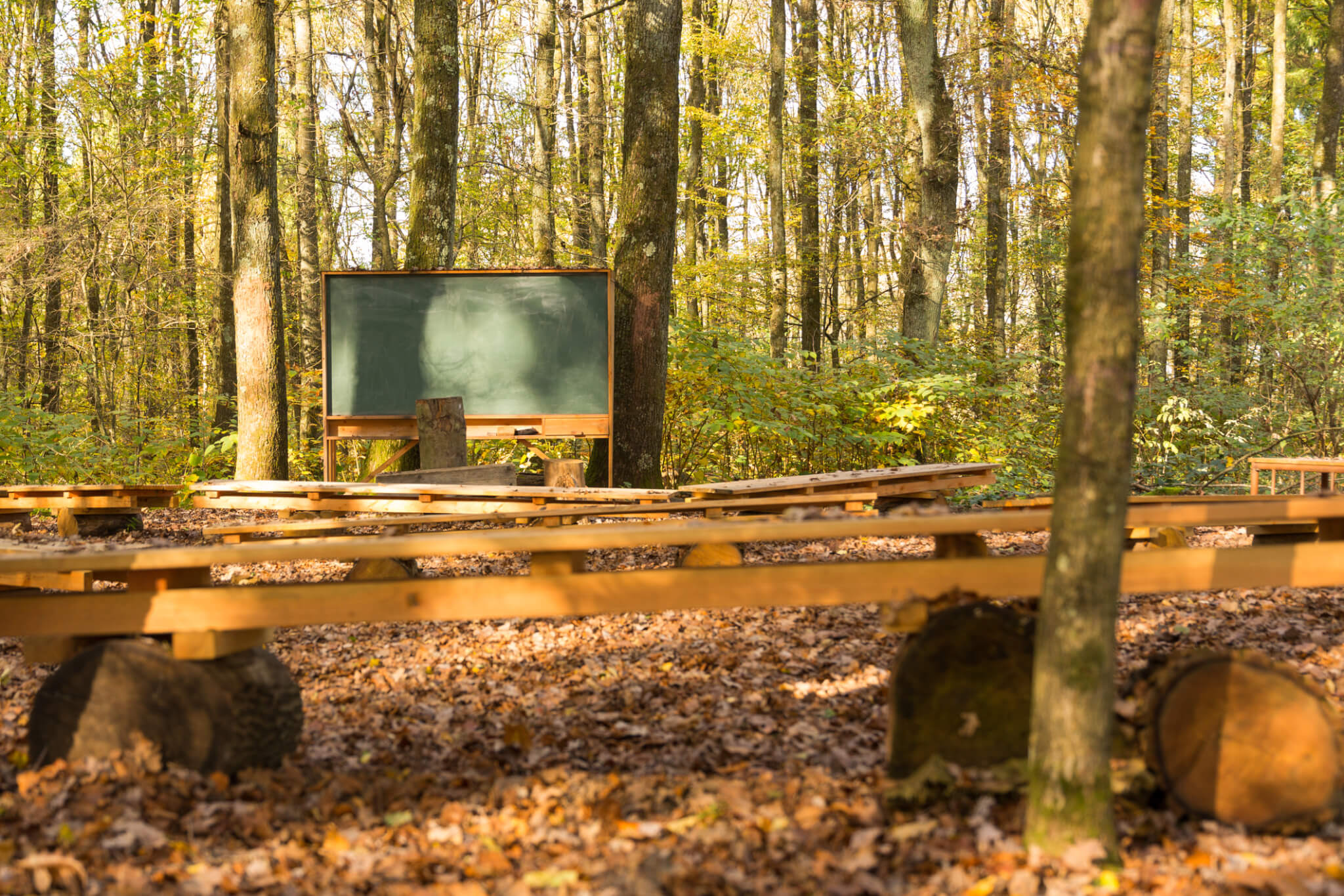 Empty outdoor class room in forest with blank classic green chalk board, school desks and benches for students with trees as backdrop and brown autumn colour leaves on ground. Picture meant to illustrate outdoor education and how it helps building positive youth-adult relationships.
